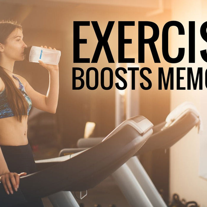 Exercise boosts long-term memory