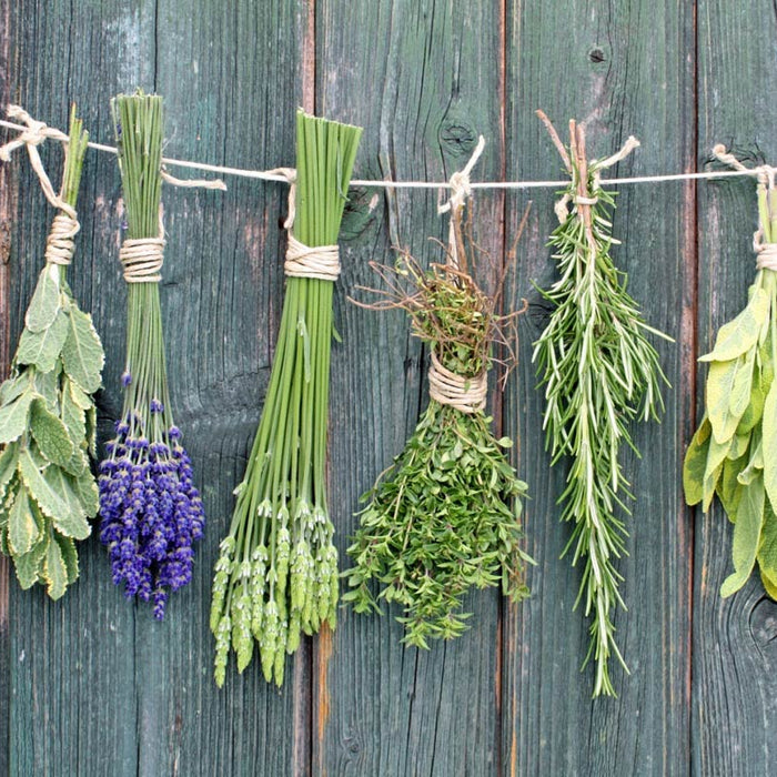 Why you should add herbs to your diet