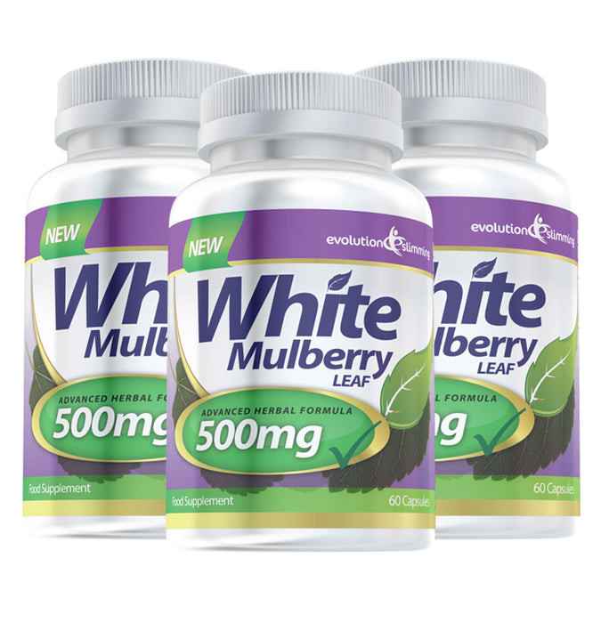 White Mulberry Leaf Extract 500mg