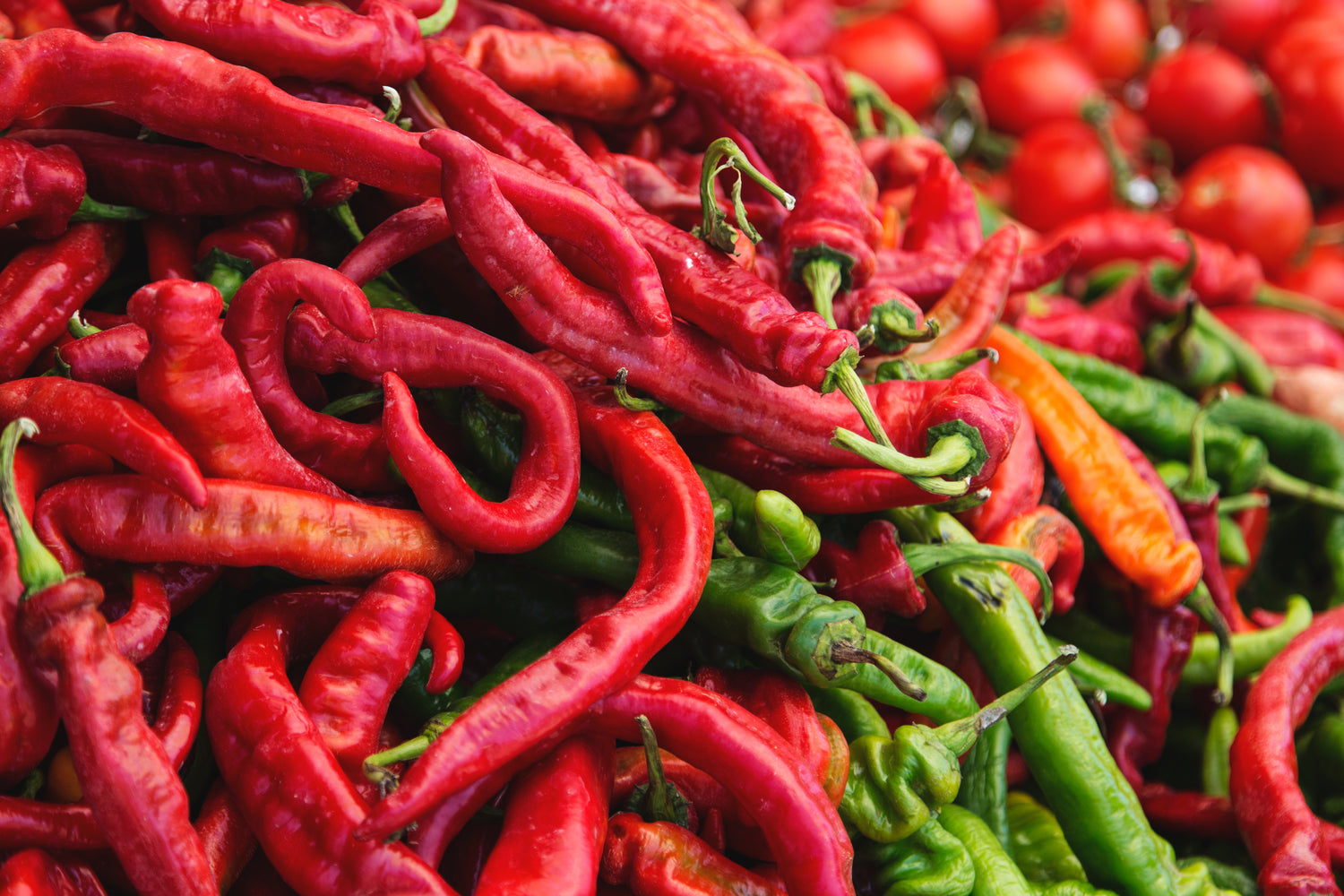 3. Nutrition and Thermogenic Foods